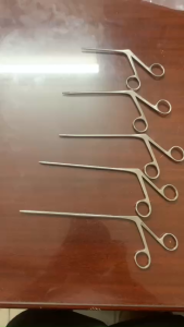 Kẹp Tai Y Tế Cao Cấp – Lấy Dị Vật Dễ Dàng Chính Xác các size thép trắng