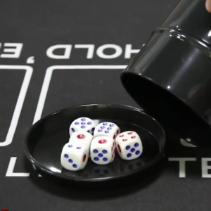 KTV Dice cup free 5 pcs dices High Quality Dice Cup With free 5 pcs dices Set For Entertainment Shake Dice cup