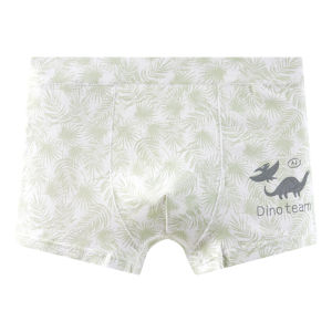 MiiOW | Pure Cotton Antibacterial Boxer Shorts For Teenage Boys Middle School High School Students Development Period Cartoon Print Underwear