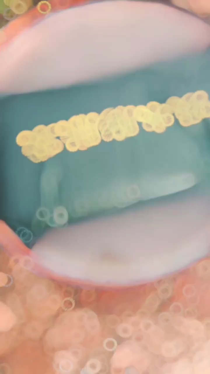 25*100cm Bao Cát Chống Ngập/Túi Hút Nước Không Cát Chống Lũ Lụt Bảo Vệ Nhà Cửa Trước Mưa Bão Thiên Tai