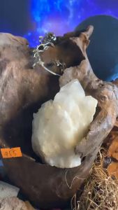 bụi đá thạch anh trắng Clear Quartz tán sắc tài lộc vũ trụ năng lượng tự nhiên 455