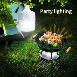 【BUY 1 TAKE 1】Rechargeable LED Light USB Emergency Light 5 Lighting Modes Emergency Bulb 30W 60W 90W 120W Energy Saving Light Indoor&Outdoor Rechargeable Bulb Outdoor Camping Dimming Portable