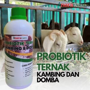 Probiotik ternak kambing/Probiotik pakan ternak/Probiotik peternakan domba/Vitamin ternak kambing