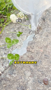 500g โพลียูรีเทนกันซึม กาวกันน้ำรั่วซึม กันรั่วซึม แก้ปัญหาน้ำรั่วซึมของ หลังคา/รอยแตก/สระว่ายน้ำ