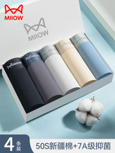 Quần Lót Nam Catman Cotton Nguyên Chất Thoáng Khí Thoải Mái Kháng Khuẩn Cỡ Lớn Quần Đùi Cạp Vừa Mùa Thu Đông Quần Lót Liền Mạch