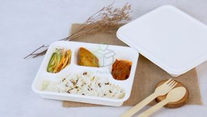 Bagasse Lunch Box Sekat 4 + Tutup Kotak Makanan Warna Putih Bungkus Nasi Kotak Takeway Ayam Geprek Nasi Goreng Kemasan Makanan Korea Jepang Ramah Lingkungan isi 25 pcs