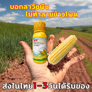 🌽 ฆ่าหญ้าข้าวโพด 100g ยาชุด กำจัดวัชพืช ยาฉีด 3สี รวมยาฆ่าหญ้ารอบ ทำให้ข้าวโพดไม่ทำลาย และสารกำจัดวัชพืช ใบและกว้างเป็นสำคัญ