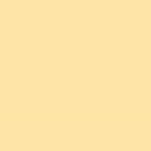 SkinReset Tinted Sunscreen Cream with Foundation 10g