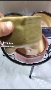 JCLSGP Terracotta Pastel Series Succulent Pots - Cactus Pot Pastel Pots