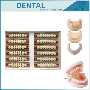 Dental Resin Denture Teeth Teaching Models Repairable Synthetic Anterior Posterior Polymer A1/2/3 Acrylic Temporary False Tooth