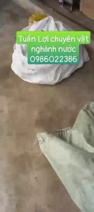 [Freeship Max] Van 1 chiều lá lật 48ngựa đài loan luppe giếng nhựa Taijjan- Đại Ánh Sáng chõ trên cỡ ống Đk 60-75-90mm - NPP Tuấn Lợi