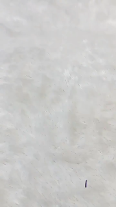 [ISI 3] CD AGREE AK-23 Kids Motif / Celana Dalam AGREE KIDS 023 Pinggang Karet