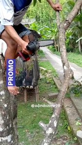 COD Taffware Gergaji Mesin Kayu Listrik Senso Cordless Chainsaw 21V 6 Inch 800W Super Tajam Lengkap