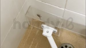 handy.b ไม้จับแมลง และสัตว์มีพิษ จับแมลงสาบ จิ้งจก แมงมุม แมลงวัน และอื่นๆ