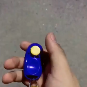 Còi bấm huấn luyện chó mèo kèm vòng quàng cổ tay tiện lợi (mẫu mới) - Love Pets Shop