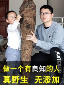 Ge Zhi Flavor Jiangxi Wild Arrow-Root Fresh Farm Firewood Meal Replacement Powder 420G Shangrao Send GE Pian Tea Soup