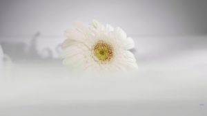 Brightening Gel  Doterra ไบรท์เทนนิ่ง เจล โดเทอร์ร่า  ของแท้100% มีเก็บเงินปลายทาง