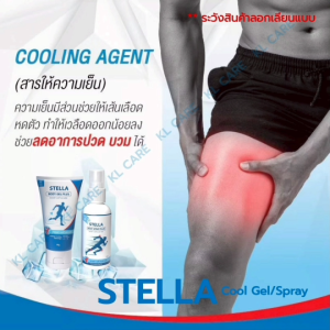 สเปรย์ เจลแก้ปวด กล้ามเนื้อ สารสกัดจากเมล็ดลำใย (สูตรเย็น) แก้ปวดหลัง ปวดข้อเข่า เก๊าท์ ลองกานอยด์ Longanoid 60 กรัม