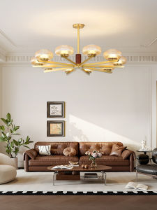 ZHENMEIJU | Vintage Bronze Hanging Light for Bedroom and Living Room