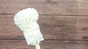 Nano Sponge Cup Cleaning Brush