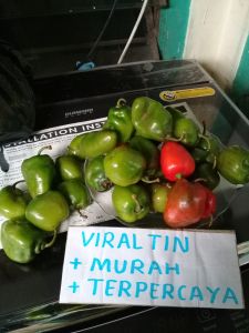 CABAI KHAS DIENG SEGAR PER 100 GR