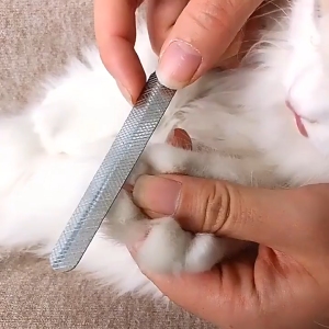 Pet Nail Clippers Dog Cat Nail Cutter Stainless Steel Pet Grooming Tool with Nail File Claw Trimmer