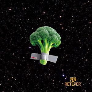 Retlper Reflective Sticker Original Cauliflower Fortune Flower Brocoli Tape Three-Dimensional Waterproof Auto Motorcycle Stickers