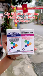 Cặp Enro Tril 10% + Intertrim Tiêu chảy ghép phân vàng phân trắng phân xi măng dùng trong Thú Y