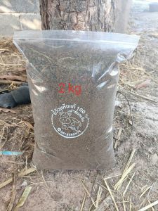 ปุ๋ยคอกขี้วัวแห้งล้วนๆแท้100% 2 kg.ฟาร์มตะวัน เนื้อละเอียด ไม่มีกลิ่น ไม่มีความชื้น ไม่ผสมดิน ไม่ผสมแกลบ เร่งใบ เร่งเขียว พืชสวยนาน