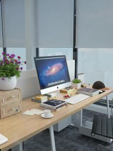 Elevating and Storage Desk Organizer