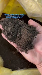 (5KILOS)PURE VERMICAST/High Quality (100% Organic and Pure Worm Casting) MIX to your soil to improve the growth of your plants. For Ornamentals Veggies and Herbs. GOOD QUALITY TO ITS PRICE!!