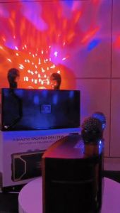 YS-211 Portable Karaoke Dual Wireless Microphone Bluetooth Professional Speaker Smart External YS-11 Stereo Family Party KTV Colorful LED Dance Lights Included Equipment Audio Car/Outdoor/Indoor