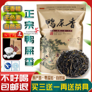 500G Yashixiang Dancong Tea from Fenghuang Chaozhou Specialty Fragrance Type Spring Tea Dan Cong Tea Wujishan from Oolong Tea