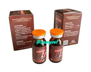 Vemedim Vime Cafein 10ml - Tăng Bo Trợ Sức Lỳ Đòn Nuốt Ối Tốt Cho Gà Đá