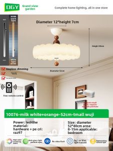 DGY | Retro French Cream Style Eye-Protecting Ceiling Light