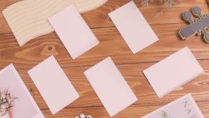 Qualirey 20 Pack Replacement Fly Glue Boards Compatible with Gardner FlyWeb Fly Classic and Plus Light Trap Sticky Cards Fly Traps for Indoors Trap Fruit Flies Mosquitoes Gnats