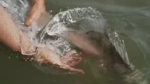 Sougayilang Alat Gulungan Pancing Baitcasting Reel Pancing 12 + 1BB 7.2: 1 Rasio Roda Gigi Roda Pancing Air Tawar Air Asin Halus Kuat