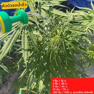 การจัดการยกแพ็คที่มีประสิทธิภาพ 100 ชิ้น ส่งฟรี ตั้งแต่ราคา 189-239 บาท พร้อมกับบัวรดน้ำต้นไม้ สำหรับต้นไม้เล็ก รดน้ำฝอย ซื้อเยอะ มีราคาส่ง หัวบัวรดน้ำ หัวบัวรดน้ำผัก หัวฉีดน้ำ หัวรดน้ำต้นไม้ใส่ขวดน้ำอัดลม รดน้ำผัก บัวรดน้ำ บัวรดน้ำต้นไม้ เหม