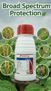 Syngenta Amistar Top 325SC 250ml Fungicide for Rice Blast Sheath Blight & Leaf Spot