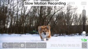 【3 ปี ฟรี กล้องดิจิตอล หน้าจอ 3.0 และ 4.8K นิ้ว รับประกัน 5 ปี】 32GB ความละเอียด