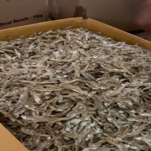 Ikan Asin Tipis Tawar Teri kering 1 kg Murah 250 Gram 500 Gram 1000 Gram - Ratu Peda Acin