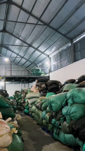 Trà Cây Bầu Đất - Phù hợp với người bị nóng trong thường xuyên nổi mẩn nhiệt miệng