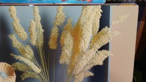 Himalaya Painting 35cmx50cm Fruit Design Frameless WAterproof Sintraboard Decorative Wall No Light