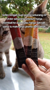 Buy 10pcs Ship 21pcs 15g Potopet Cat Cats Snack Treats Paste All Stages Adult Kitten Wet Food Pouch