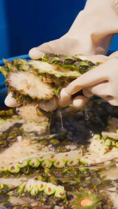 Xịt Tràm Cho Bé PineBoo 150ml –Tinh Dầu Tràm Trà Dịu lành Khử Mùi - An toàn cho bé