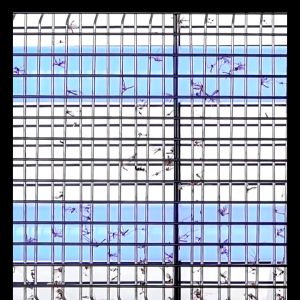 KELVINS Buy 1 Take 1 Mosquito Killer Electric Lamp: A Comprehensive Guide