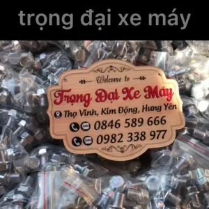 Combo 10 Ốc Dầu 13ly Sử Lý Chờn Ren