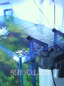 Aquarium Filter Wall Mounted Filter Barrel External Fish Tank Small Silent Hang on aquarium tank SF-350F/5W