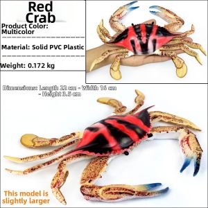 Shrimp and Lobster Toy Model Plastic
