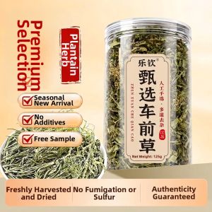 LEQIN | Wild Medicinal Herb Fresh Plantago Seeds for Soaking